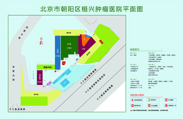 日本黄污网站大胸老师女优北京市朝阳区桓兴肿瘤医院平面图